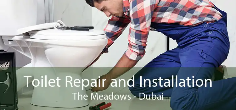Toilet Repair and Installation The Meadows - Dubai
