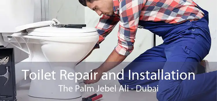 Toilet Repair and Installation The Palm Jebel Ali - Dubai