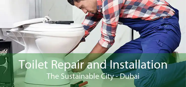 Toilet Repair and Installation The Sustainable City - Dubai