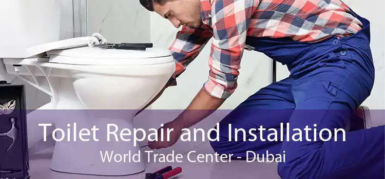 Toilet Repair and Installation World Trade Center - Dubai