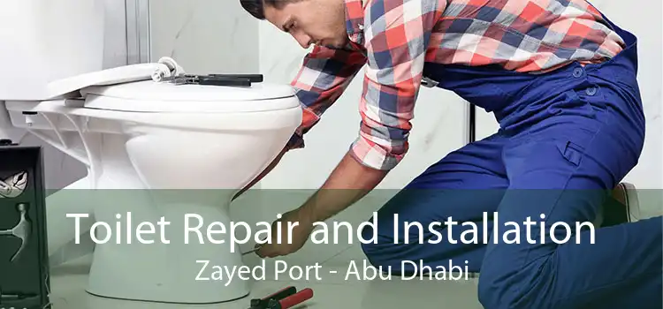 Toilet Repair and Installation Zayed Port - Abu Dhabi