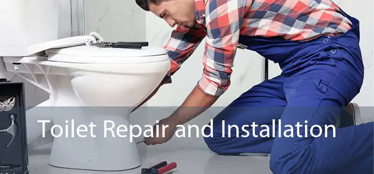 Toilet Repair and Installation 