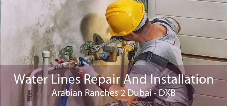Water Lines Repair And Installation Arabian Ranches 2 Dubai - DXB