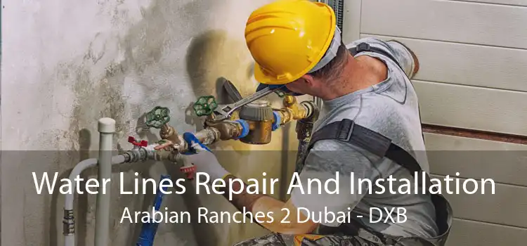 Water Lines Repair And Installation Arabian Ranches 2 Dubai - DXB