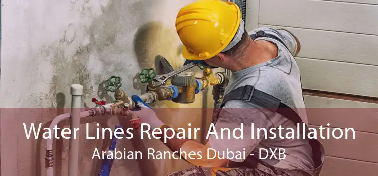 Water Lines Repair And Installation Arabian Ranches Dubai - DXB