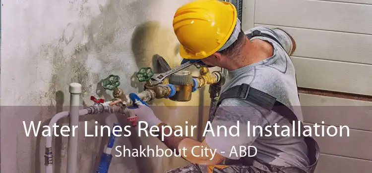 Water Lines Repair And Installation Shakhbout City - ABD