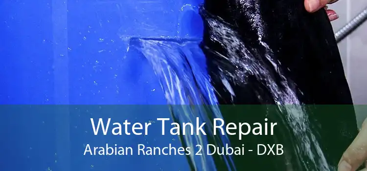 Water Tank Repair Arabian Ranches 2 Dubai - DXB