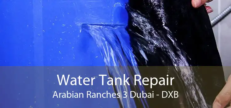 Water Tank Repair Arabian Ranches 3 Dubai - DXB