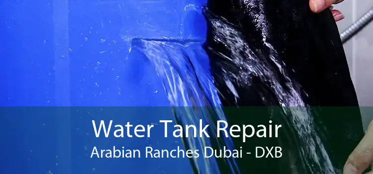 Water Tank Repair Arabian Ranches Dubai - DXB