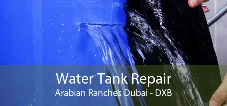 Water Tank Repair Arabian Ranches Dubai - DXB