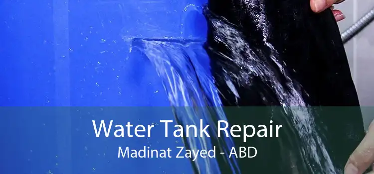Water Tank Repair Madinat Zayed - ABD