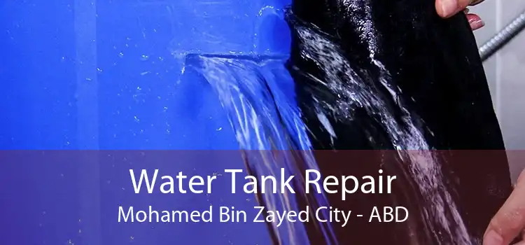 Water Tank Repair Mohamed Bin Zayed City - ABD