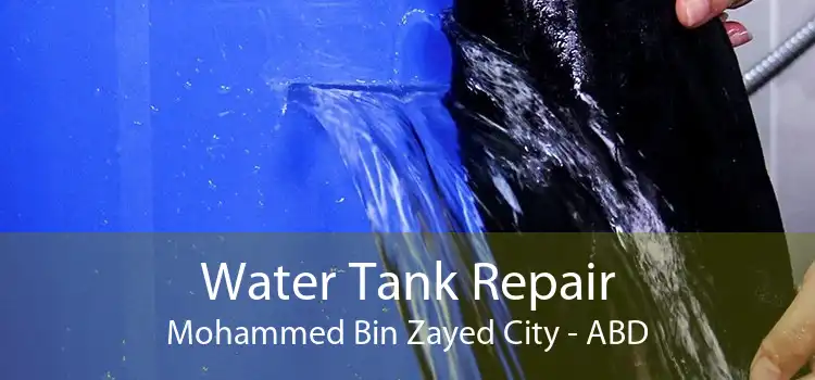 Water Tank Repair Mohammed Bin Zayed City - ABD