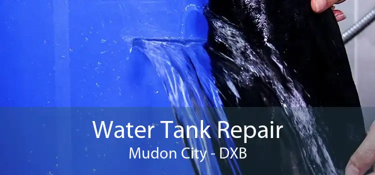 Water Tank Repair Mudon City - DXB