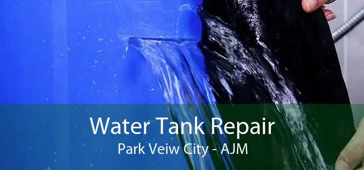 Water Tank Repair Park Veiw City - AJM