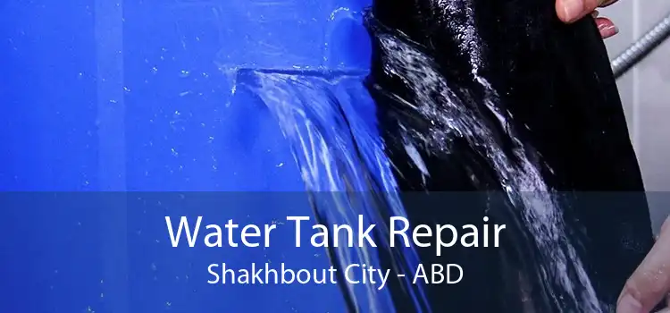 Water Tank Repair Shakhbout City - ABD