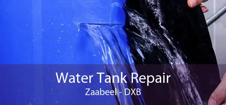 Water Tank Repair Zaabeel - DXB