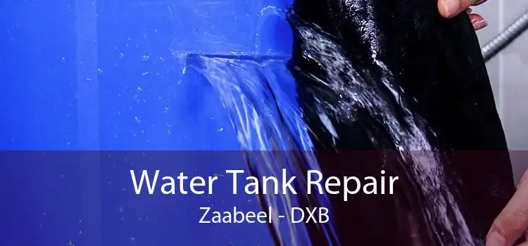 Water Tank Repair Zaabeel - DXB