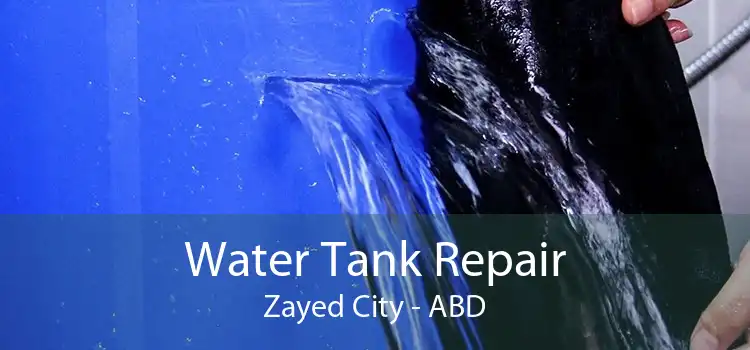 Water Tank Repair Zayed City - ABD