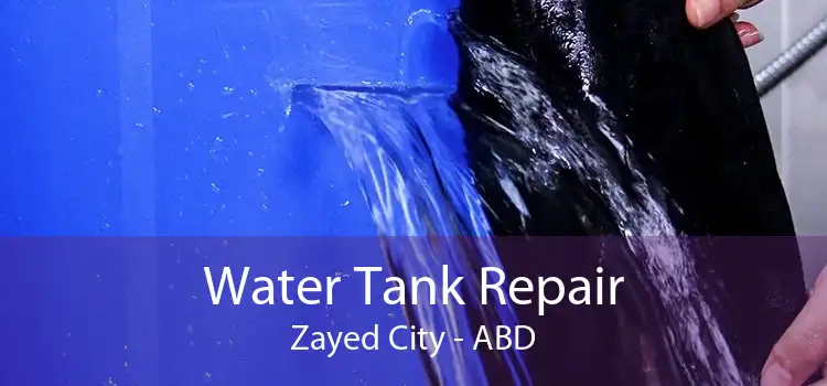 Water Tank Repair Zayed City - ABD