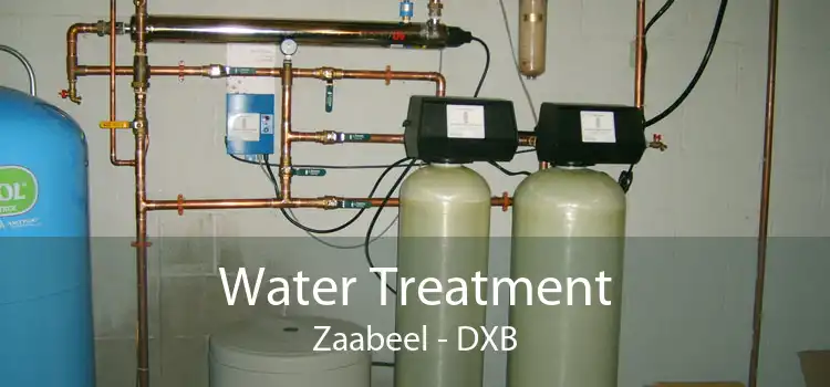 Water Treatment Zaabeel - DXB