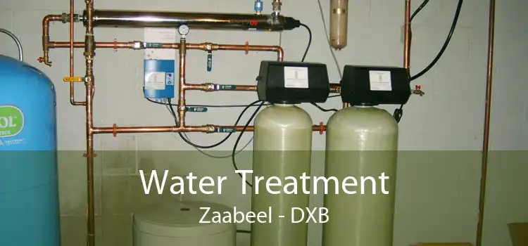 Water Treatment Zaabeel - DXB