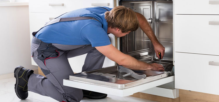 Dishwasher Repair And Installation in Al Gharb, SHJ