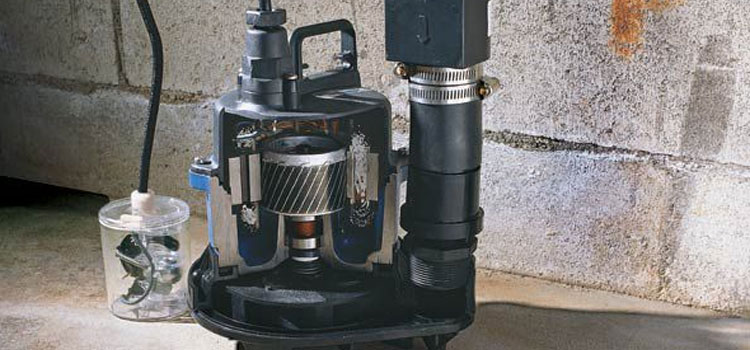 Tankless Water Heater Brands in Liwa Oasis, ABD