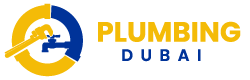 professional plumbing service